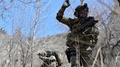 Fırat Kalkanı ve Barış Pınarı bölgelerinde  PKK/YPG'ye darbe!