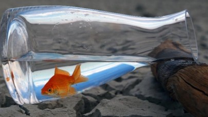 İklim değişikliğine yol açan faaliyetler nehirleri de kurutuyor