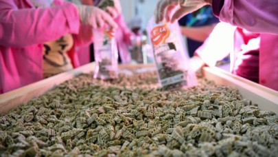 İngiltere'de kurdukları şirketle 'moringa' ürünlerini dünyaya pazarlayacak