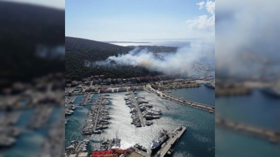 İzmir Çeşme'de yangın çıktı