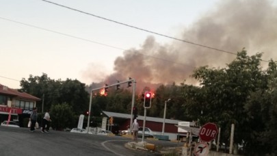 Kaş'ta yangın seralara sıçradı. Ula da yanıyor