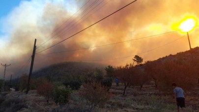 Mersin'de büyük yangın,  Akkuyu'ya yaklaşıyor: Evler tahliye ediliyor