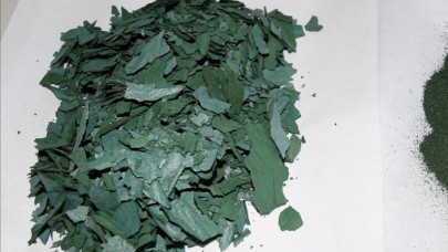 Sakarya Üniversitesi astronot yiyeceği "spirulina" üretip pazarlıyor