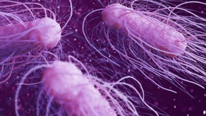 Uzmanından salmonella bakterisine ilişkin uyarılar