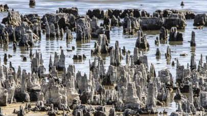 Kuraklık Van Gölü'nde binlerce yılda oluşan mikrobiyalitleri etkiliyor