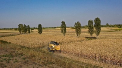 Çiftçilere bu yıl için ödenecek tarımsal destekler belirlendi