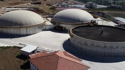 Meyve atıkları bu fabrikada elektrik enerjisine dönüşüyor