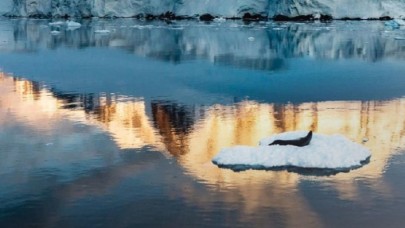 OANA'dan AA'ya ödül