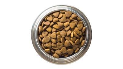 Pati Dostlarınız için Avantajlı Alışveriş: Online Petshop