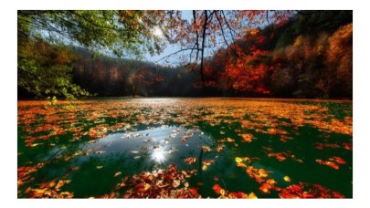 Türkiye'nin gizli hazinesi: Korunan alanlar