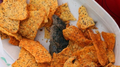 BİM'in cipsinden fare çıktı: Paketi açıp tabağa dökünce dehşete düştüler!