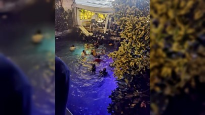 Bebek'te restoranın iskelesi çöktü: Yemek yiyenler denize düştü