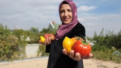 Evinin bahçesinde "ata tohumu" yetiştiren kadın girişimci kooperatif kurdu