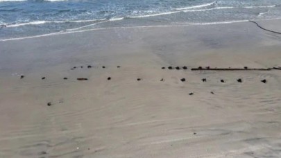 Kıyıya vuran gizemli nesne sosyal medyada gündem oldu