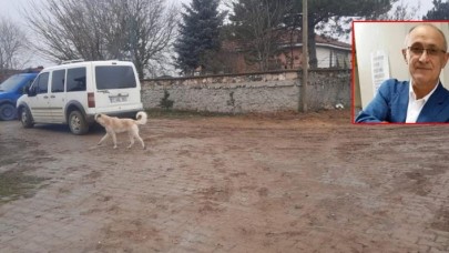Emekli asker Mehmet Aslan Eskişehir'de eşini,  Bilecik'te 2 oğlunu vurdu: Fatma Aslan ve Erol Aslan öldü,  Osman Aslan yaralı
