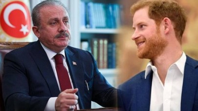Mustafa Şentop Prens Harry'e çok kızdı! Tepki gösterdi
