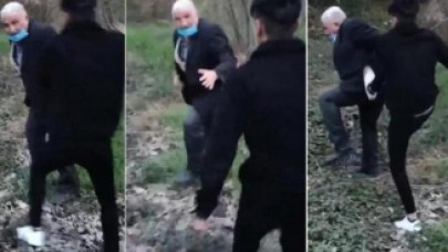 Kocaeli'de mide bulandıran olay: Köpeğe tecavüz ederken yakalanan sapığa meydan dayağı!