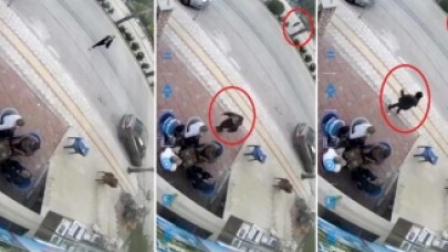 Hatay'da insanlıktan utandıran görüntüler: Satırla dövülen kadın yardım istedi,  erkekler tavla oynamaya devam etti!