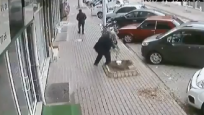 İnsan bunu neden yapar? Yaşlı adam durduk yere ağacı kökünden söktü!