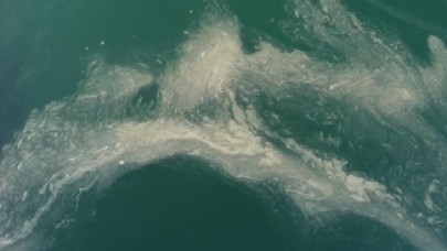 Tekirdağ sahilinde 'deniz salyası' nedeniyle suda beyaz tabaka oluştu