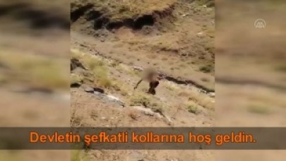 Hakkari'de bir teröristin teslim olma anı kameralara yansıdı