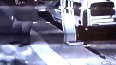 Yeni doğum yapmış kedi yuvasına köpeği saldırttı,  yetmedi tekmeledi