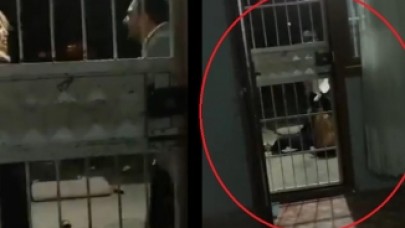 'Seni öldürsem de ceza almam' diyen cani,  genç kadını dakikalarca darp etti