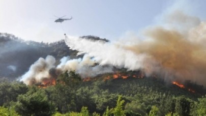 Milas’ta orman yangını