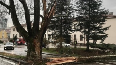 TBMM bahçesine yıldırım düştü