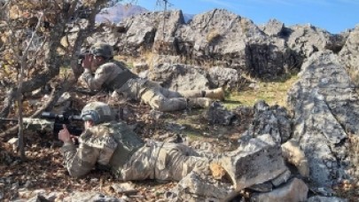 Bitlis ve Siirt'te 'Kıran-8 Sehi Ormanları Operasyonu' Başladı