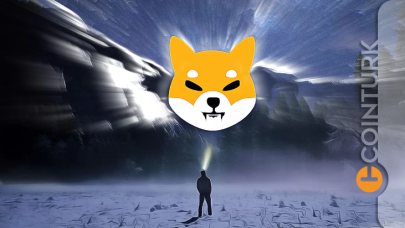 Shiba ve Dogecoin Fiyatı: SHIB ve DOGE’de Önemli Seviyeler!