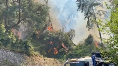 Antalya'da orman yangını başladı
