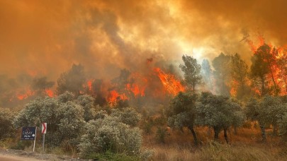 Muğla,  Balıkesir,  İzmir: Ormanlar yanıyor