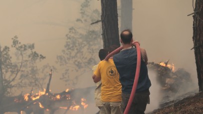 Bolu Göynük'te orman yangını sürüyor