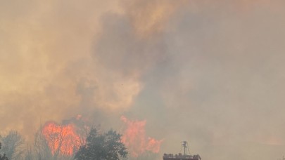 Çanakkale'de yine yangın çıktı. Bu kez de Biga yanıyor
