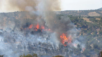 Çanakkale'de bir orman yangını daha. Bu kez de Ayvacık'ta