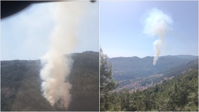 Alanya'da orman yangını çıktı
