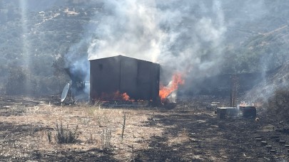 Hatay'da zeytinlik ve ormanlık alanda yangın çıktı