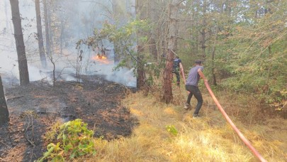 Tekirdağ'da orman yangını çıktı