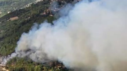 Antalya'da orman yangını