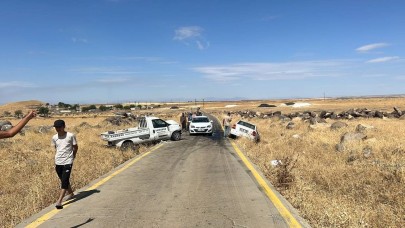 Şanlıurfa'da kamyonet ile otomobil çarpıştı : 1'i ağır 9 yaralı