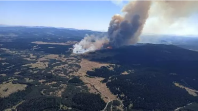 Bolu'da orman yangını: Dumanlar adeta gökyüzünü sardı