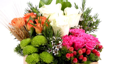 Terazi Burcuna Alınabilecek En İyi Hediyeler Denge ve Zarafet İle Dolu Anılar