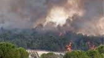 İzmir’de korkutan yangın. Ekipler alarma geçti