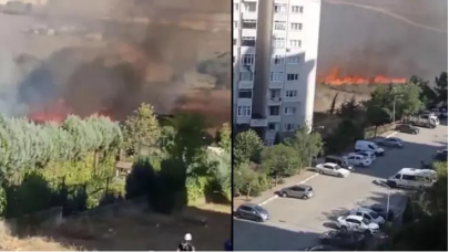 Tuzla'da ormanlık alanda, alevler hızla yayıldı