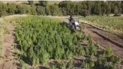 Bakan Yerlikaya duyurdu! Zehir tacirlerine '2 tonluk' ağır darbe