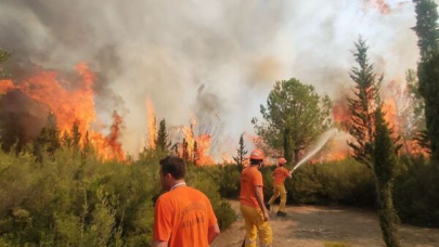 Antalya'da orman yangını! Rüzgarın etkisiyle teknelere kadar sıçradı