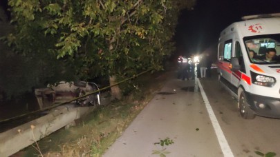 Bursa'da domuza çarpan araç devrildi: Recai Ekin ve Bedrettin Çelebi öldü