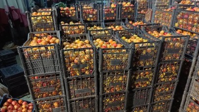 Kalbi saat gibi çalıştırıyor,  kanseri püskürtüyor: Tarlada 20 markette 69 TL'ye satılıyor