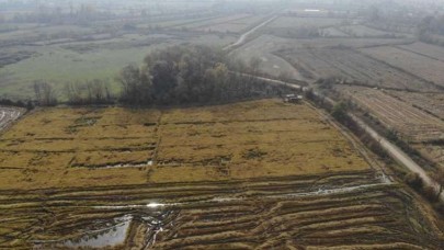 Hasadı başladı. Lif ve mineral deposu. Kilosu 60 TL'den satılıyor